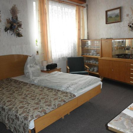 Pension U Kaktusu カルロヴィ・ヴァリ エクステリア 写真