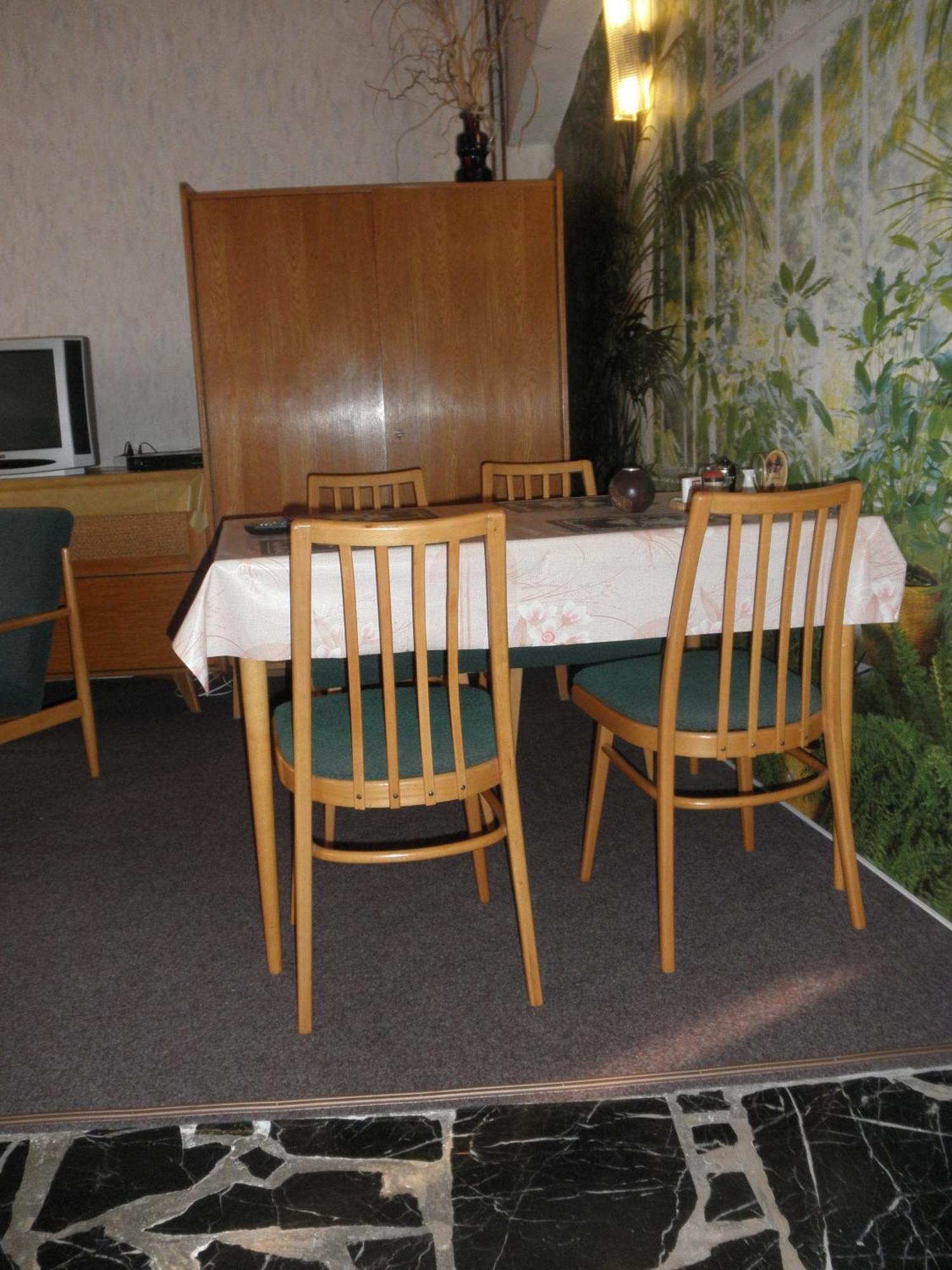 Pension U Kaktusu カルロヴィ・ヴァリ エクステリア 写真